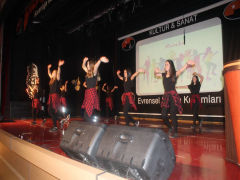 Evrensel Kolej